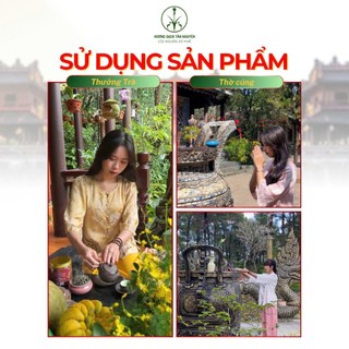 [CAO CẤP] Hộp 100 viên nụ quế cao cấp Tân Nguyên, làm từ vỏ quế tự nhiên, xông nhà, khử khuẩn, thư giãn