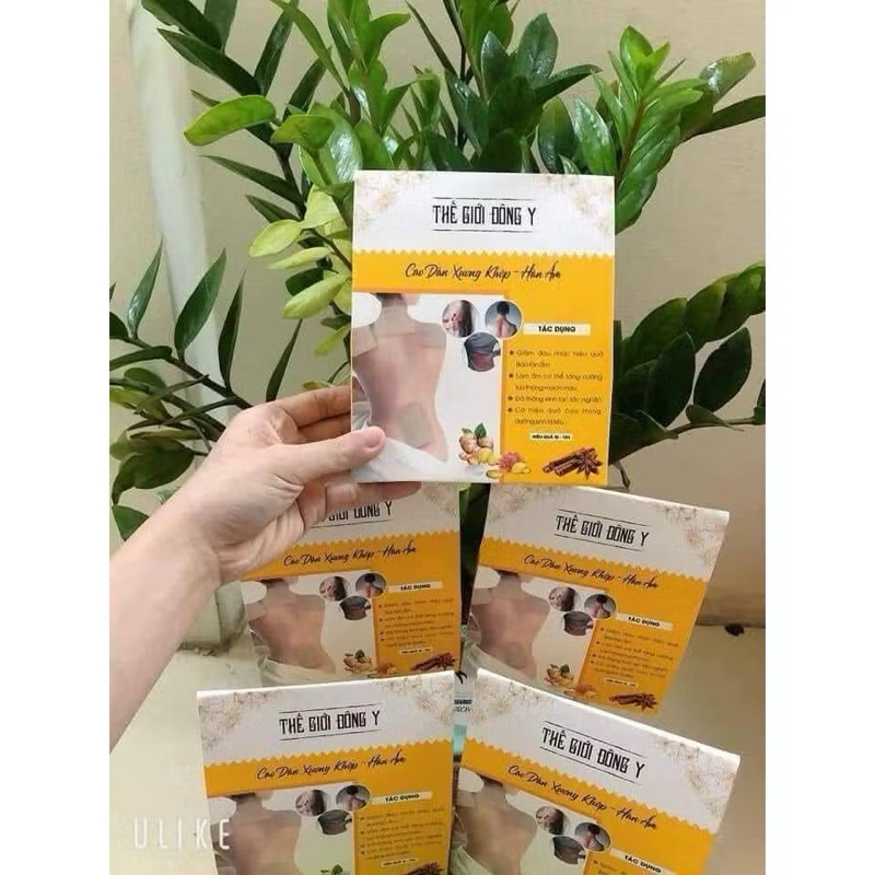 Cao dán giảm đau 50 miếng