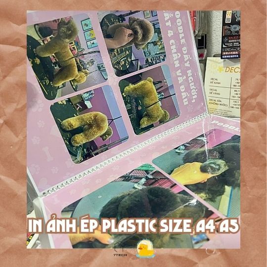 In - Ép Plastic size A4 A5 - In theo yêu cầu, giấy dày