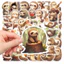 Set 60 Sticker Con Lười dễ thương Chống Nước Dán Laptop Vali Mũ Bảo Hiểm Sổ Tay
