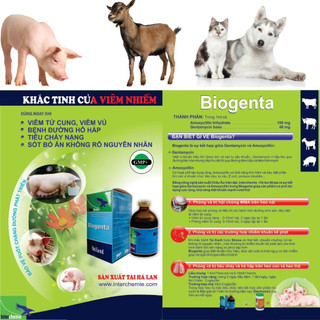 Thuốc thú y Interchemie Biogenta chai 100ml trị viêm phổi, tiêu hóa trên chó mèo gia súc gia cầm