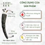 Dụng Cụ Diện Chẩn Cây Hoa Khế Sừng – Giảm Đau, Massage Giải Cơ Hiệu Quả
