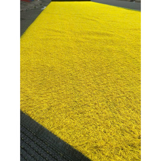 Thảm cỏ nhân tạo màu vàng cao cấp, combo 10-50m vuông, trải sân khấu rạp cưới trang trí bền đẹp.