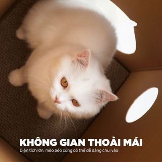 Đồ chơi Nhà giấy carton cào móng PetQ cho mèo