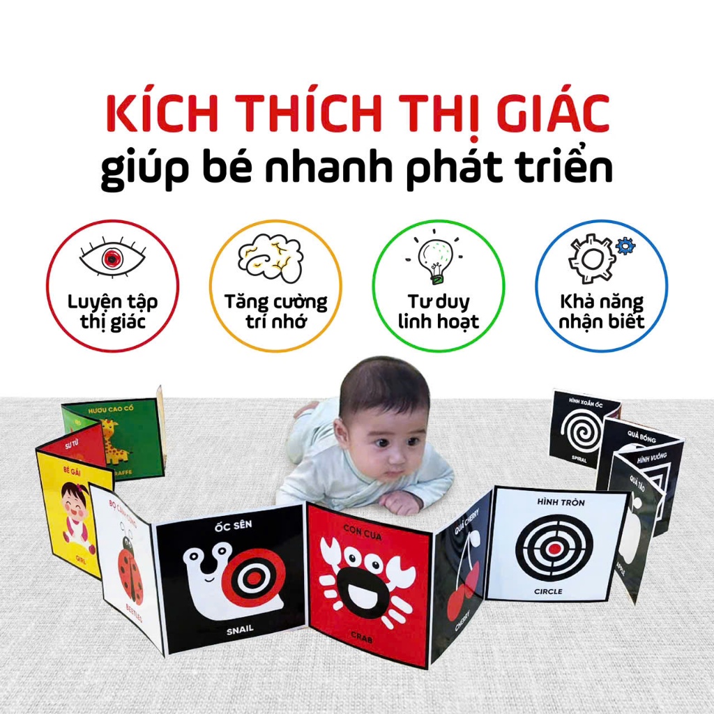 Thẻ Kích Thích Thị Giác Cho Bé Từ 0-6 Tuổi - Hỗ Trợ Nhận Biết Màu Sắc Và Chi Tiết Vật Thể