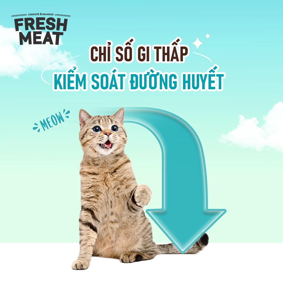 [1.6KG] ANF FRESH MEAT - Thức ăn hạt gấp đôi thịt tươi dành cho mèo & chó nhập khẩu Hàn Quốc