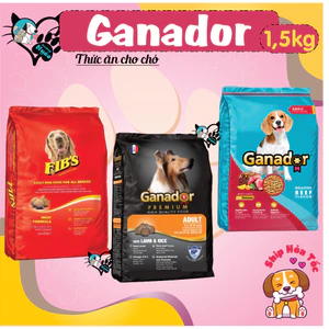 Thức Ăn Hạt Cho Chó Ganador Fibs Trưởng Thành Túi 1.5kg Vị Cừu Gạo Và Bò Nướng