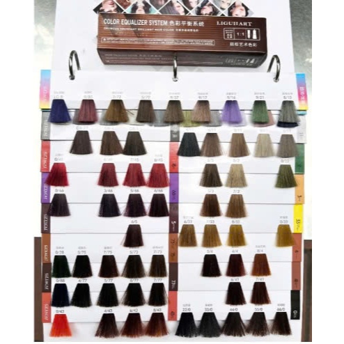Thuốc Nhuộm Tóc LIGUI Color (Nội Địa Trung) | Made in China | 90gam