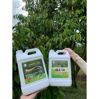 Phân bón sinh học Amino, dinh dưỡng tổng hợp  giúp cây khoẻ, xanh lá, mập chồi, nhú đọt chai 500ml