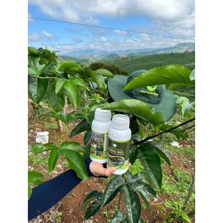 Phân bón sinh học Amino, dinh dưỡng tổng hợp  giúp cây khoẻ, xanh lá, mập chồi, nhú đọt chai 500ml
