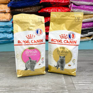 HẠT ROYAL CANIN BRITISH SHORT HAIR dành cho mèo anh lông ngắn