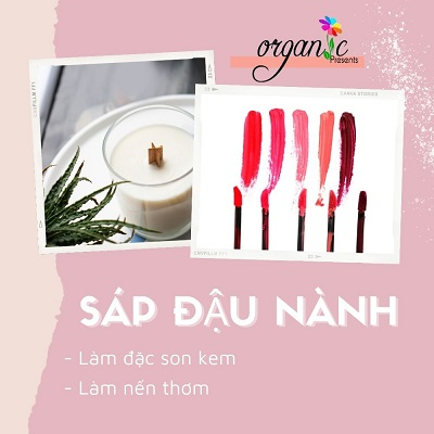 SÁP ĐẬU NÀNH - CARGILL NATUREWAX ® C-303 (100% hydrogenated soybean oil)