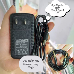 Củ sạc rồng thần thánh