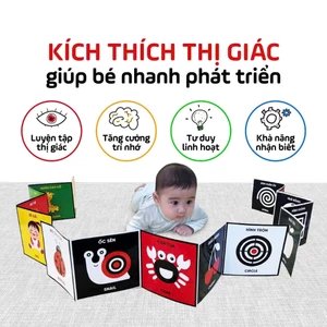 Sách - Kích Thích Thị Giác Cho Bé - Bộ 3 Thẻ Đen Trắng, Đỏ Đen Và Màu Sắc