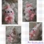 Móc khóa gấu và thỏ - handmade len - crochet - amigurumi - móc khóa cặp đôi