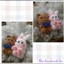 Móc khóa gấu và thỏ - handmade len - crochet - amigurumi - móc khóa cặp đôi