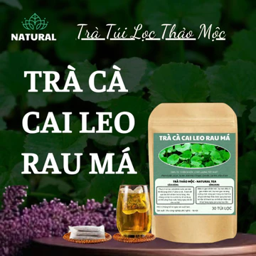 Trà Cà Gai Leo Rau Má . Cà Gai Leo . thanh lọc cơ thể . giải độc gan . tăng cường chức năng gan bảo vệ lá gan. bổ gan gi