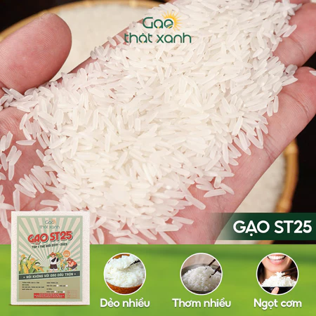 Gạo St25 Daklak Chính Hãng Của Gạo Thật Xanh,Túi 10kg Gạo St25 Không Đấu Trộn, Dẻo Nhiều, Thơm Và Ngọt Cơm