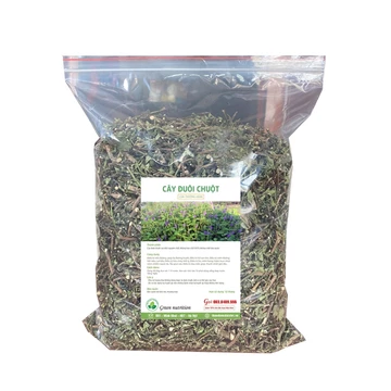 Cây đuôi chuột (1kg) Tốt cho người huyết áp cao, giúp hạ ddường huyết ASIA GREENNUTRITION