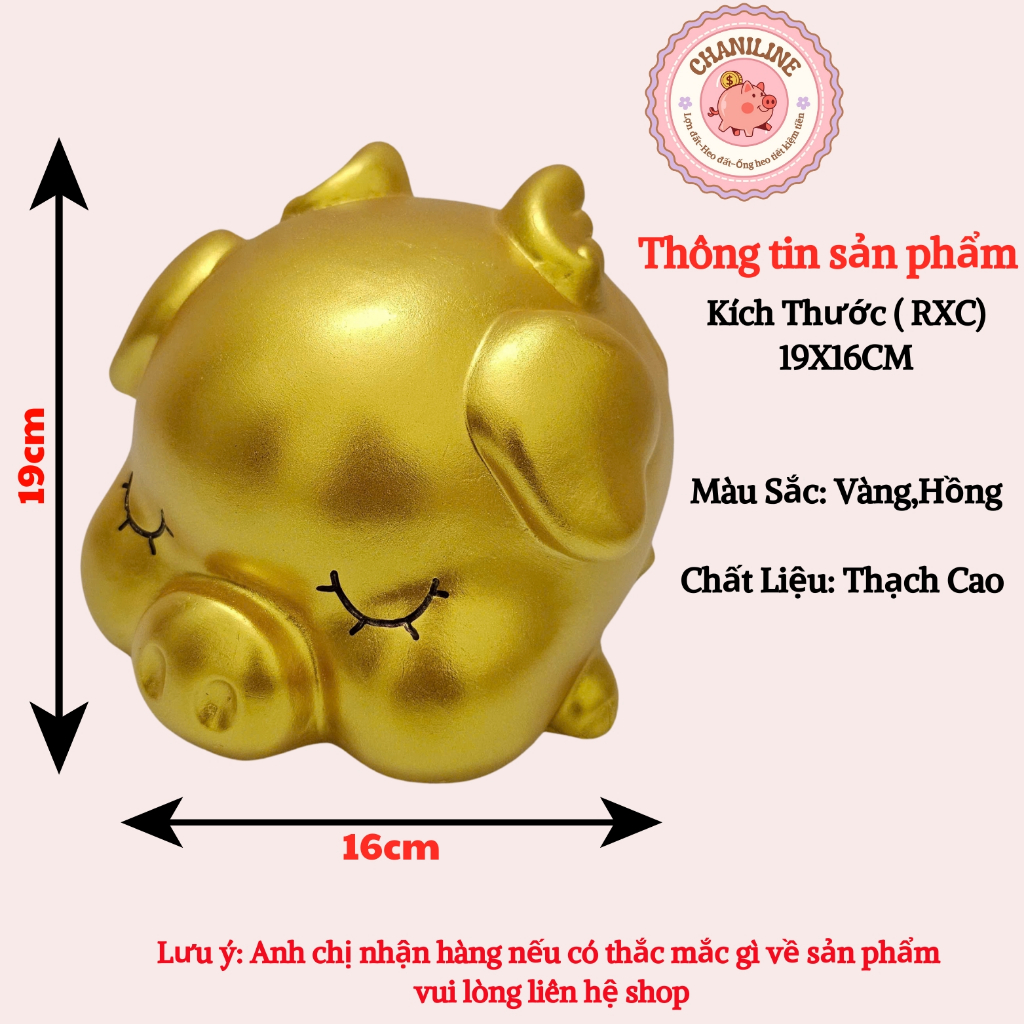 Heo Đất Lợn Đất Thiên thần vàng má phính Ống heo tiết kiệm tiền,trang trí,quà tặng CHANILINE