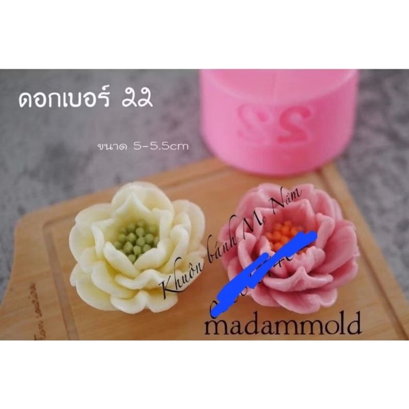 Hoa thái B22