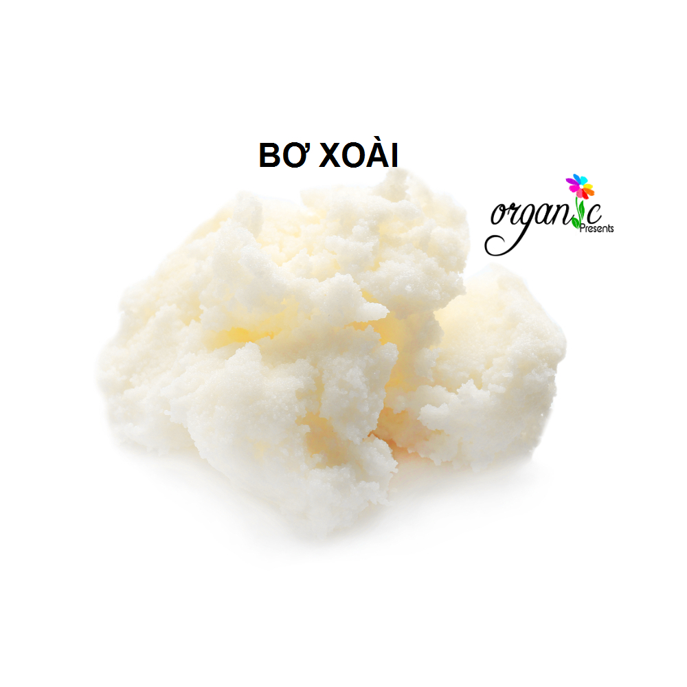 BƠ XOÀI (MANGO BUTTER) ẤN ĐỘ – NGUYÊN LIỆU DƯỠNG ẨM CAO CẤP CHO MỸ PHẨM