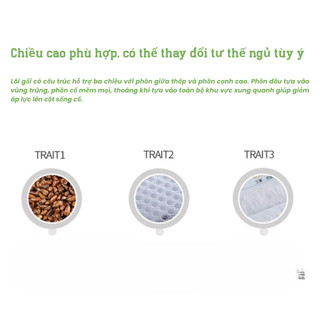 Gối Thoáng Khí Ngải Cứu Thiên Nhiên – Chống Ẩm, Êm Ái, Thư Giãn Giấc Ngủ - KÍCH THƯỚC 50X70