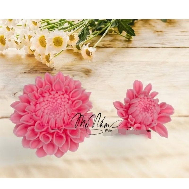 Set thược dược mẫu mới