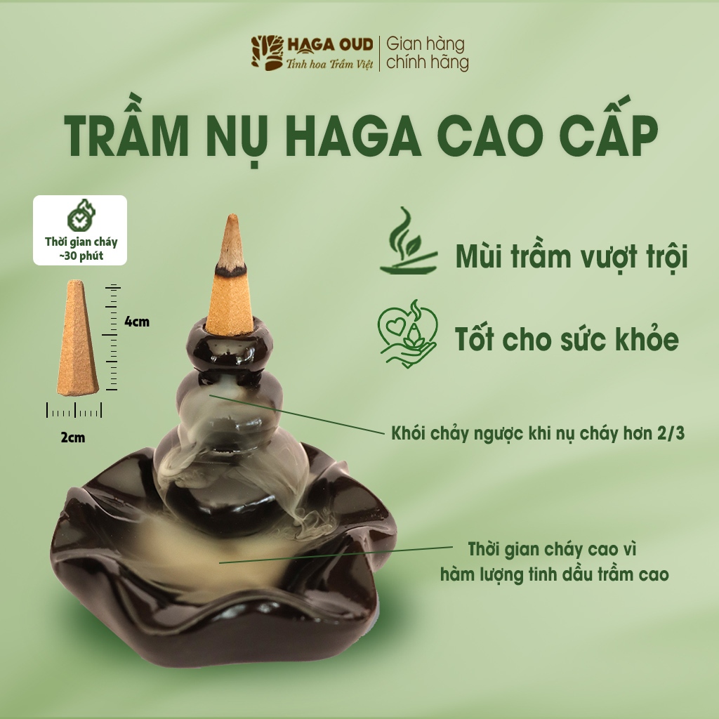 Ảnh NHANG TRẦM NỤ HAGA NGỌT ĐẬM, THÍCH HỢP BIẾU TẶNG, LỄ PHẬT, THỜI GIAN CHÁY LÊN ĐẾN 30’- 24 NỤ 1