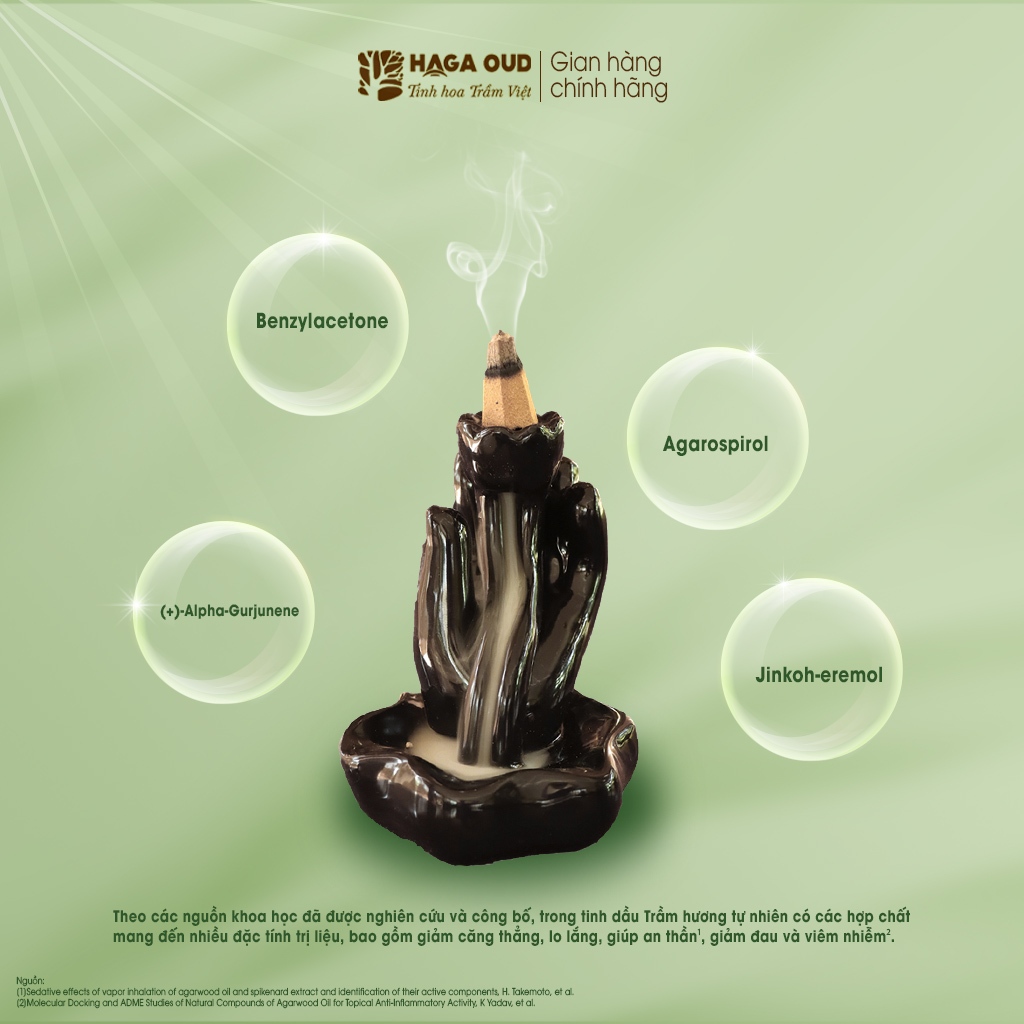 Ảnh NHANG TRẦM NỤ HAGA NGỌT ĐẬM, THÍCH HỢP BIẾU TẶNG, LỄ PHẬT, THỜI GIAN CHÁY LÊN ĐẾN 30’- 24 NỤ 3