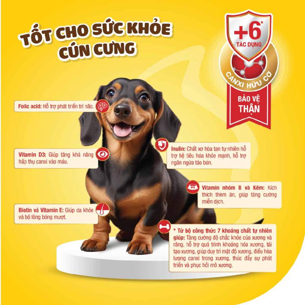 Ảnh Dr.Kyan - Sữa bột PREDOGEN GOLD cho chó lon 400g - DrKyan 2