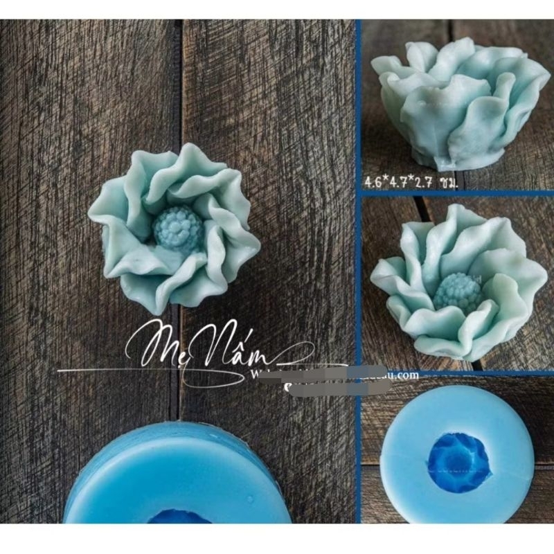 Khuôn hoa Thái X19