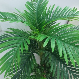 Cây giả_cây cau nhân tạo cao 1m6. cây giả trang trí nhà cửa và nơi làm việc