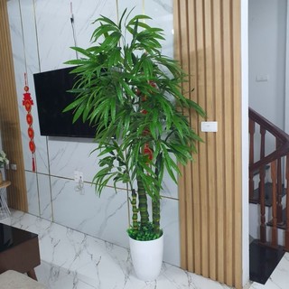 Cây giả_cây trúc quan âm nhân tạo. cây giả trang trí nhà cửa và nơi làm việc