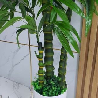 Cây giả_cây trúc quan âm nhân tạo. cây giả trang trí nhà cửa và nơi làm việc