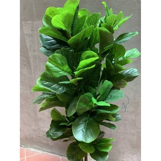 Cây giả_ cây bàng nhân tạo cao 1m6. cây giả trang trí nhà cửa và nơi làm việc