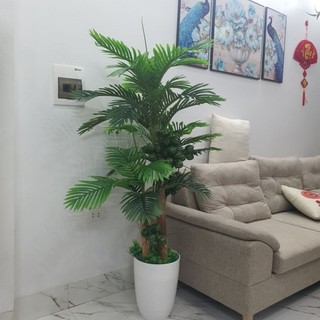 Cây giả_cây cau nhân tạo cao 1m6. cây giả trang trí nhà cửa và nơi làm việc