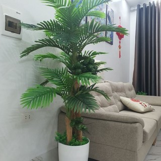 Cây giả_cây cau nhân tạo cao 1m6. cây giả trang trí nhà cửa và nơi làm việc