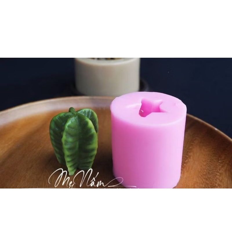 Xương rồng sao nhỏ