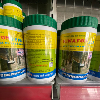 Kinafon 2.5Pa Hũ 450Gr - Kích Thích Ra Mũ Cây Cao Su Non