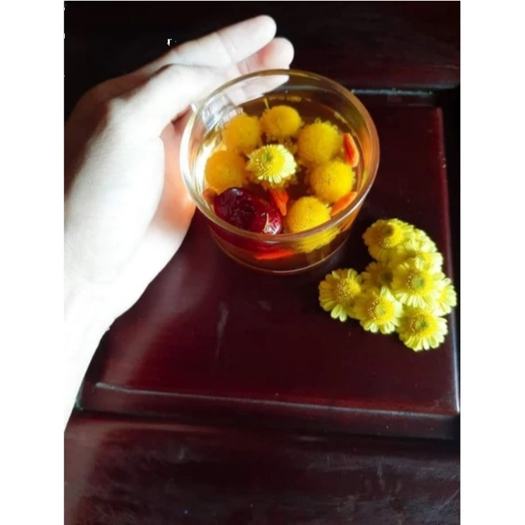 Bầu cúc nút áo vàng cúc làm trà (cúc cổ- cúc kim- cúc chi vàng) Chuẩn Gống KVT - Hạt Giống CANH NÔNG