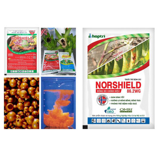 Norshield 86.2WG 50g chế phẩm bệnh gốc đồng (Đồng Đỏ) bám dính tốt, quét thân Mai Vàng, Cây ăn trái