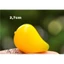 Set 10 khuôn trái cây mini làm bánh đậu xanh