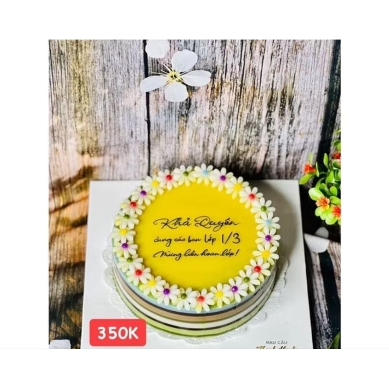 cúc dại vàng lớn