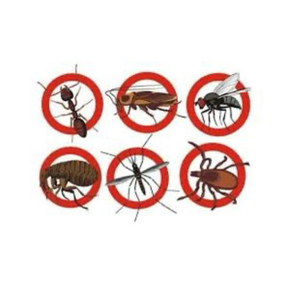 FENUSA 120SC chế phẩm trừ Ruồi, Muỗi, Kiến, Dán, Bọ Chét - Gói 5ml