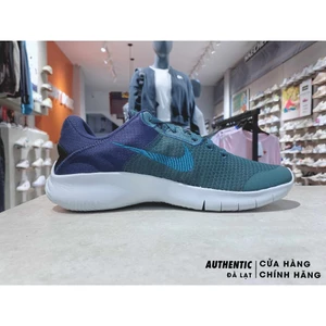 Giày Thể thao chạy bộ Nam Flex Experience Run 11 DD9284-301