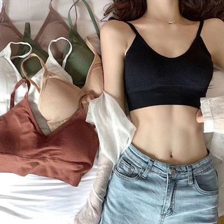 Combo 3 Áo Bra Len Tăm Khoét Lưng Chữ U - Kèm Mút Đệm Mỏng King Shop B-367