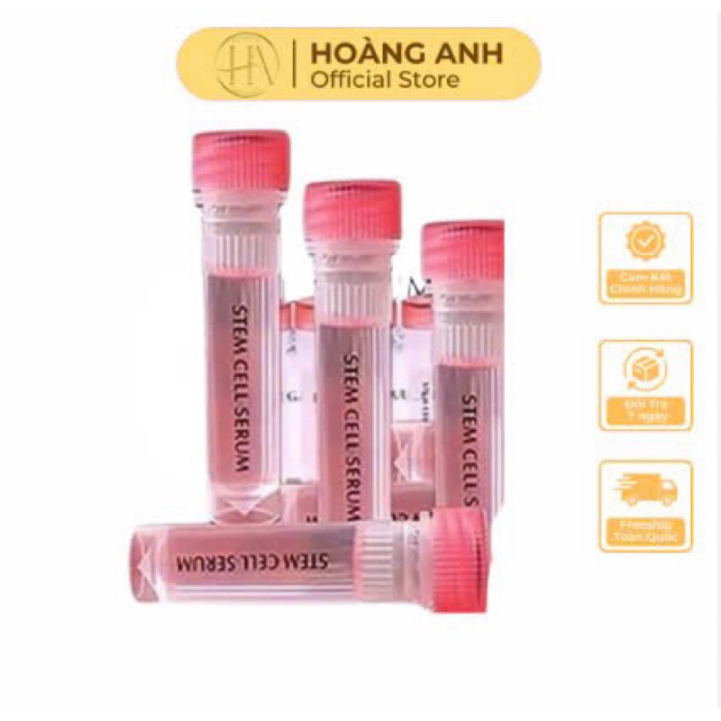 Stem Cell Phun Xăm