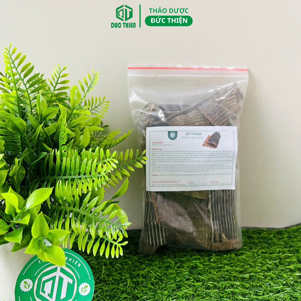 Đỗ Trọng Khô Miếng To Đẹp 200g – Bổ Thận Tráng Dương, Mạnh Gân Cốt, Điều Hòa Huyết Áp, An Thai
