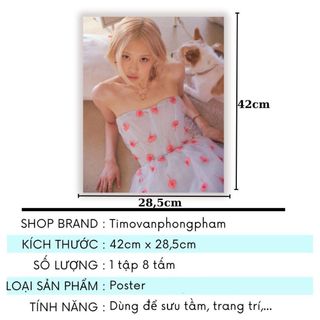 Poster Blac,kpi.nk Hình Ảnh Idol Vibe Kpop Fanmade Dán Tường Timo VPBL25